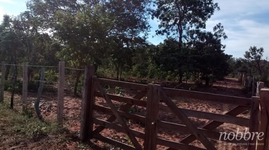Fazenda para vender no Sul do Piauí - várias opções.